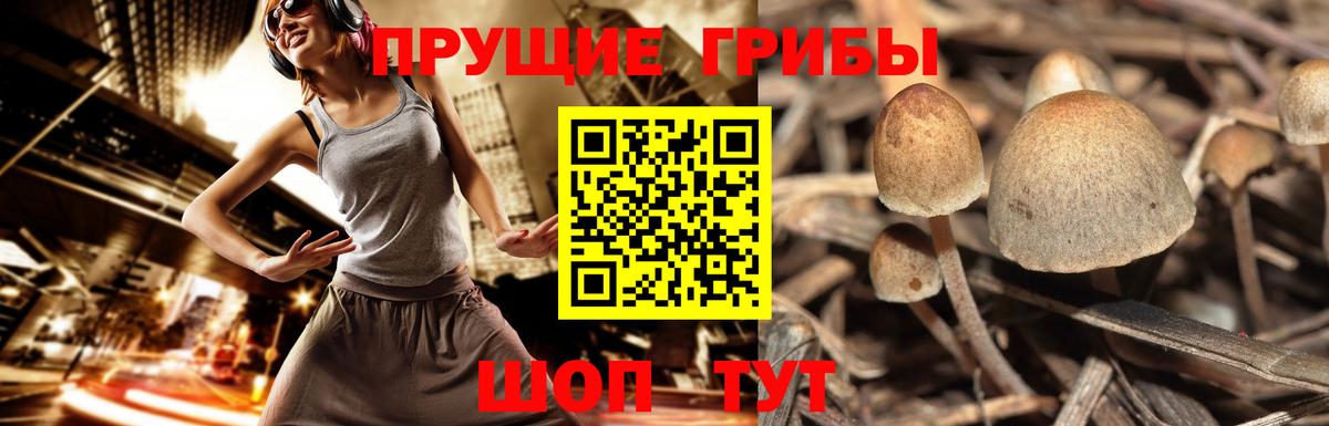 Марихуана  Чехов  МЕТАДОН  Меф МЯУ МЯУ кристаллы  ГАШИШ  A PVP СК   Гашиш  Вход с VPN  Конопля 