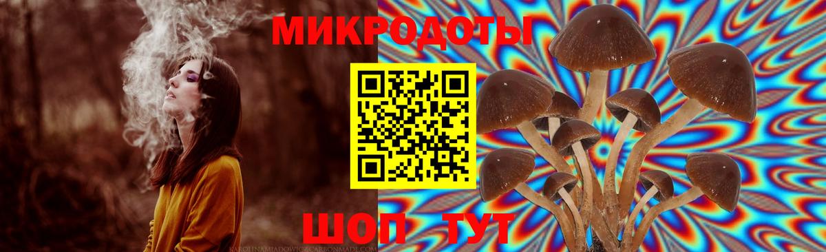 Псилоцибиновые грибы Cubensis  Вход с VPN  Чехов 